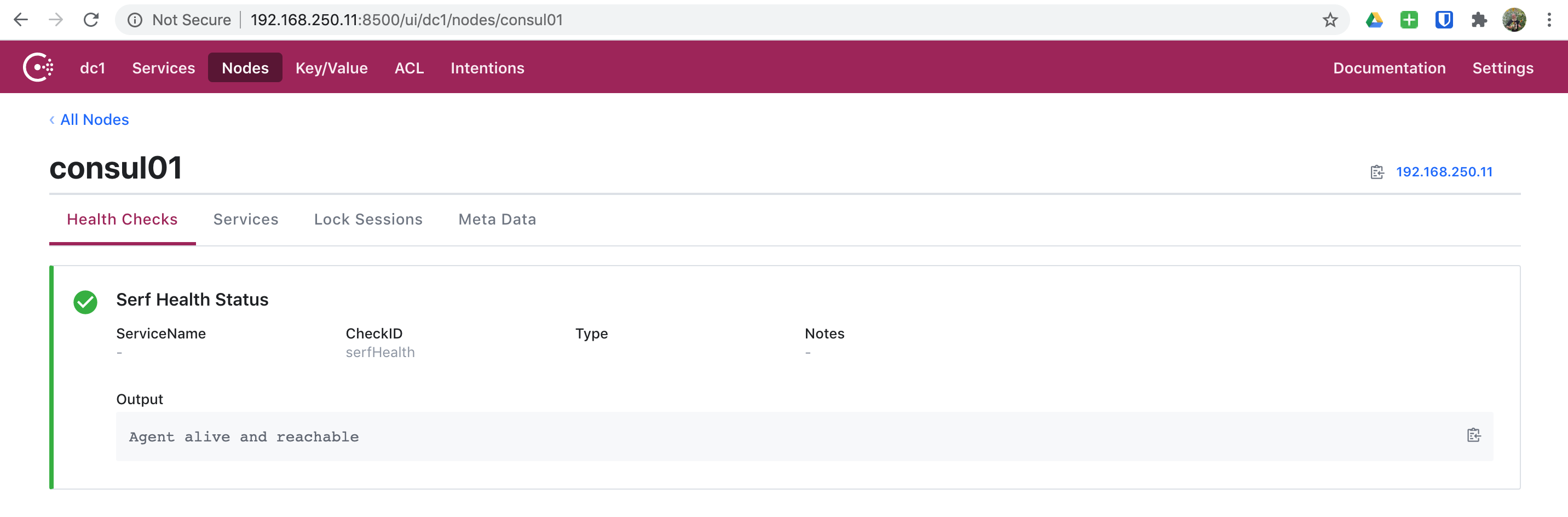 Consul UI - Node Status